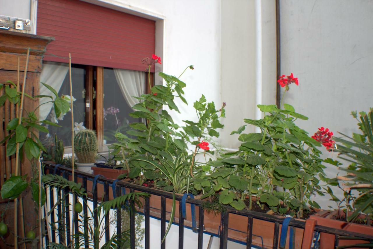 B&B Lili Salernes Extérieur photo